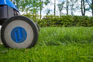 7 Reasons Why You Shouldn't Blow Grass Clippings Into The Street