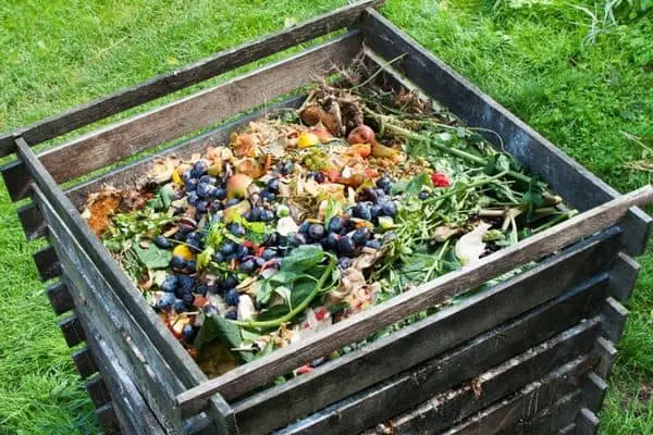 Organic wastes in a compost bin