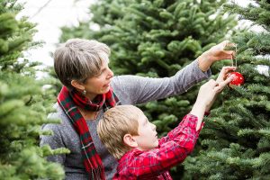 How Long Does It Take To Grow A Christmas Tree?
