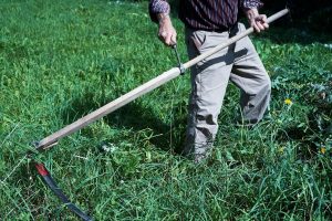 What to Do With Grass Clippings (5 Easy Ideas)