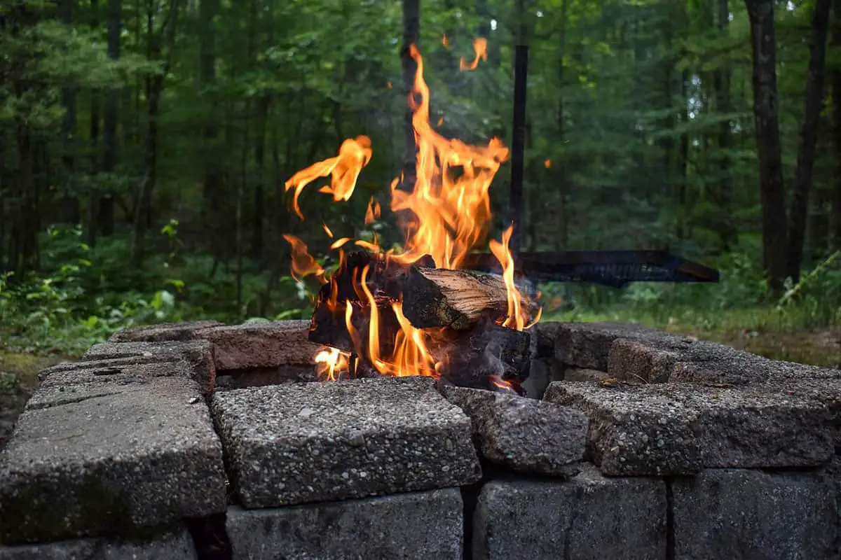 nature firepit in woods