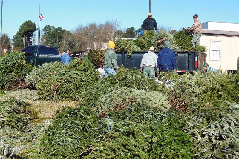 Pile christmas tree