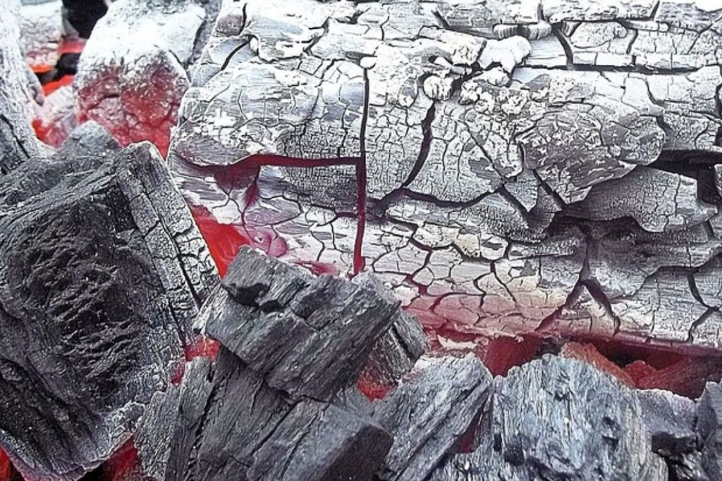 What To Do With Charcoal After Grilling Home Cadet