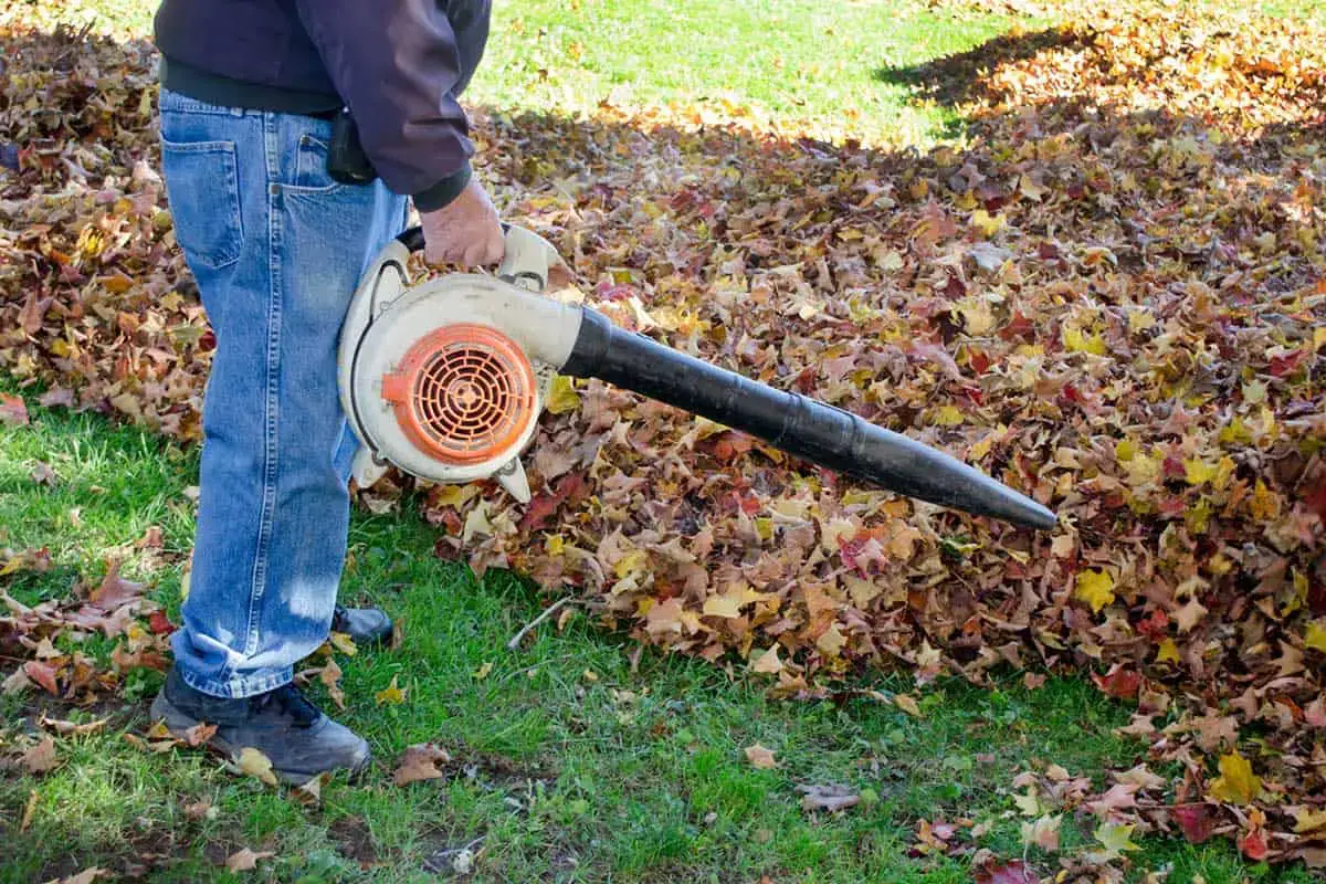 blowing leaves