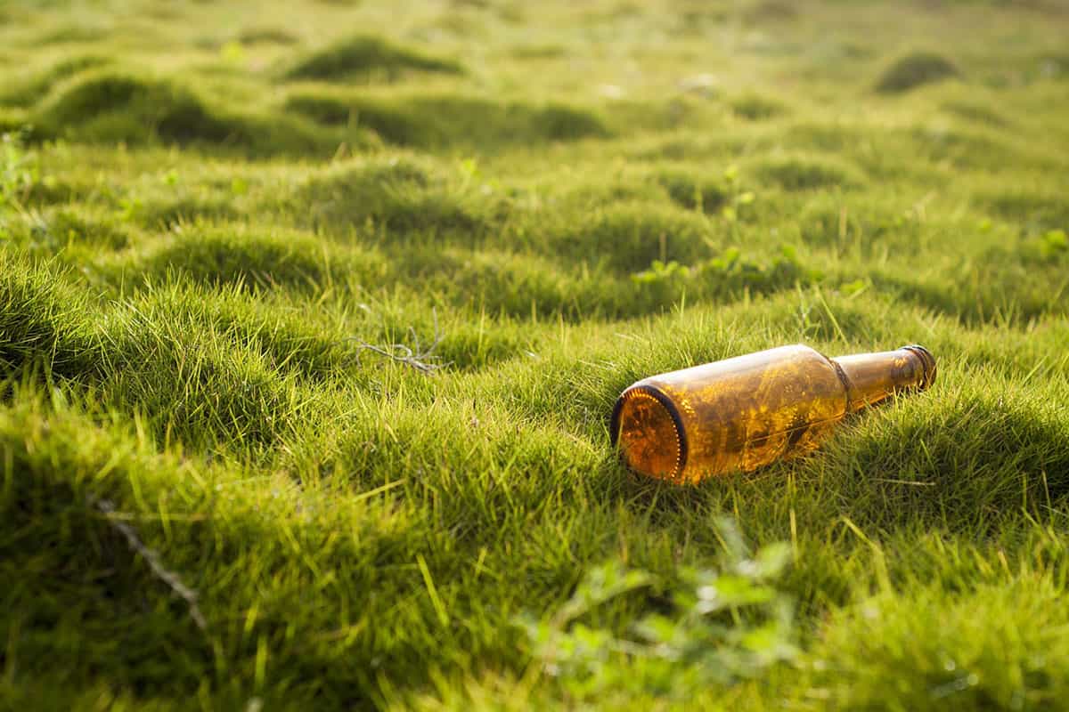 glass bottle in the grass