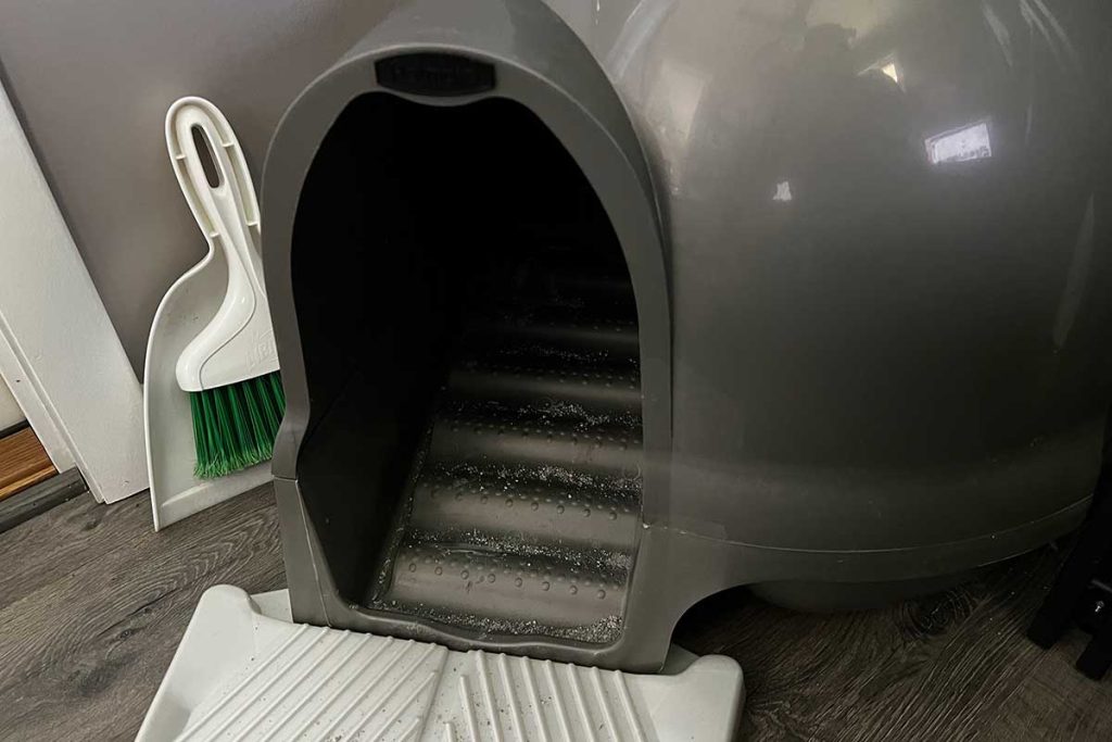 How Long Does it Take For Cat Pee Smell to Go Away? Home Cadet