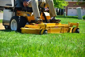 Can a Neighbor Claim My Land by Mowing it?