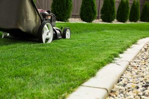 How Often Should You Mow Your Lawn in the Summer?