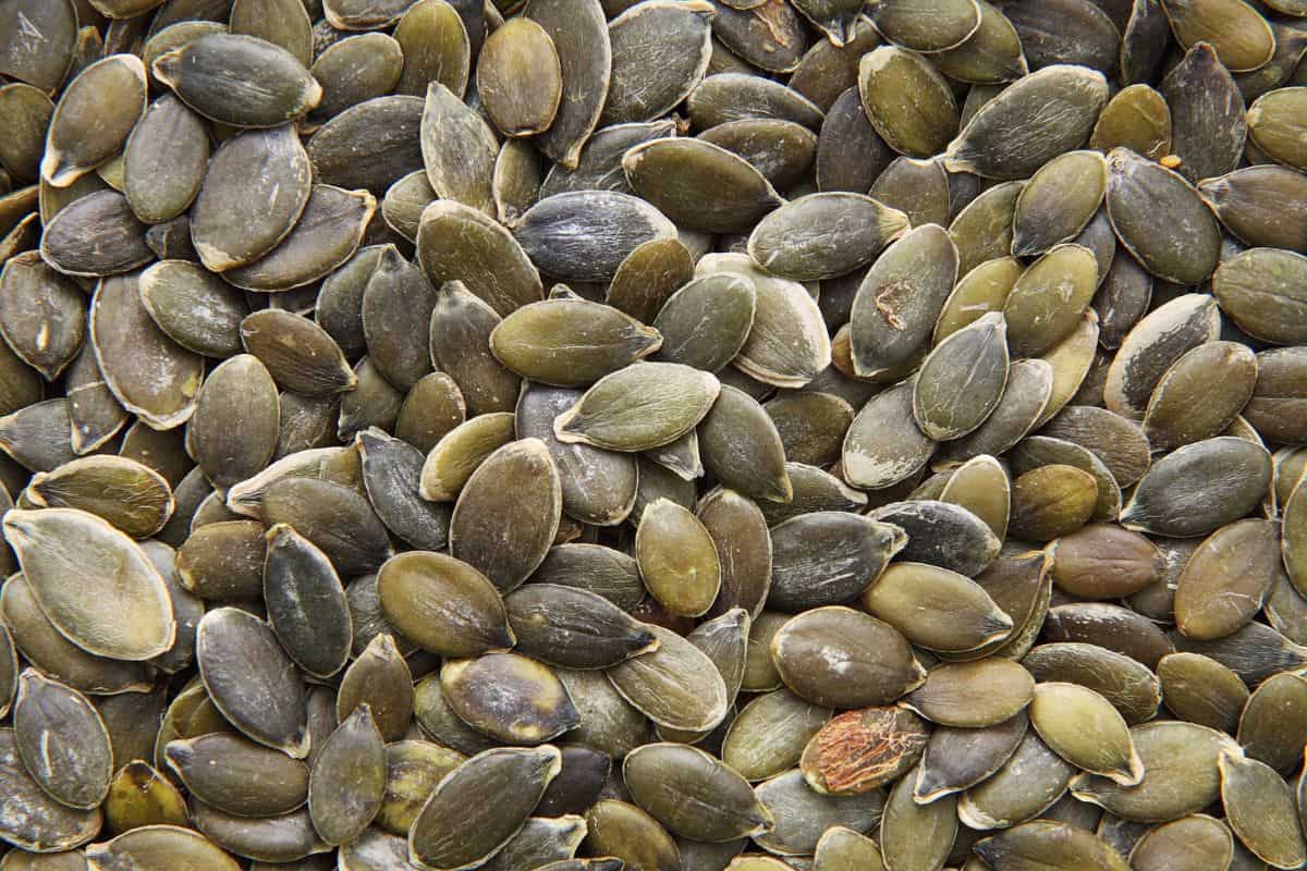 Dried pumpkin seeds