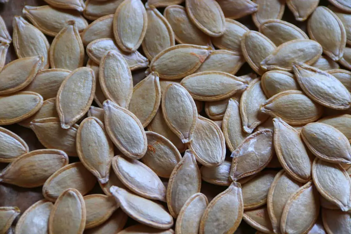 Healthy pumpkin seeds