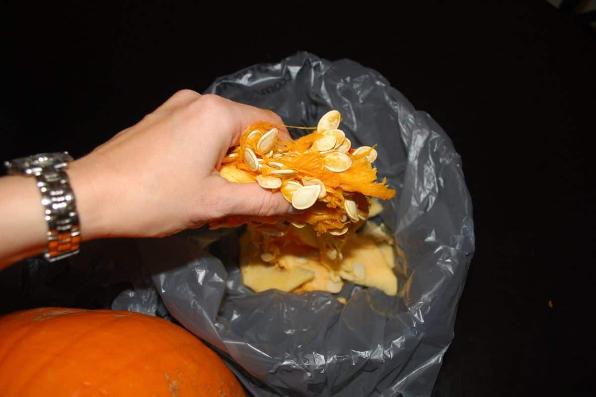 Man holding a pumpkin seeds