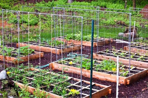 Raised bed garden