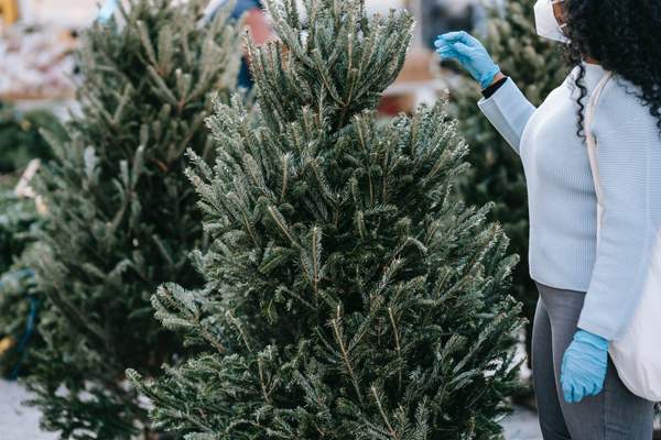 Woman choosing a christmas tree