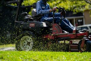 mowing the lawn grass