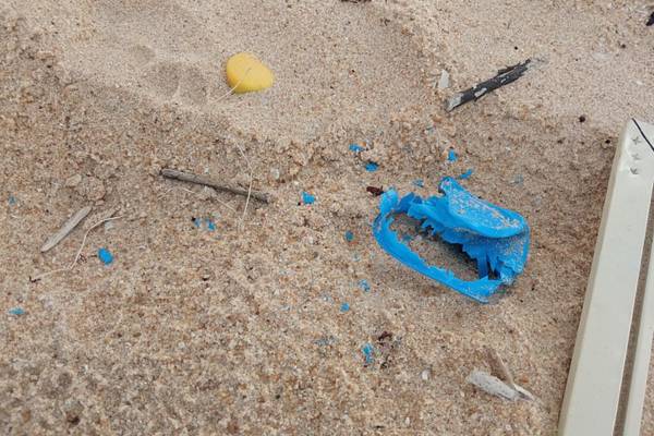 Plastic debris or microplastics