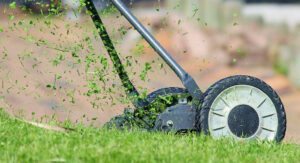 Eco-Friendly Lawn Care - 7 Tips For a Greener Lawn - Home Cadet