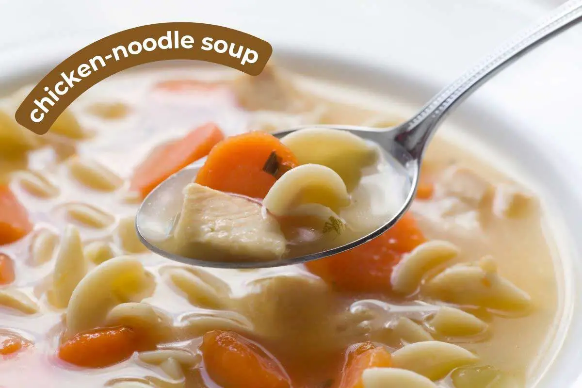 chicken noodle soup