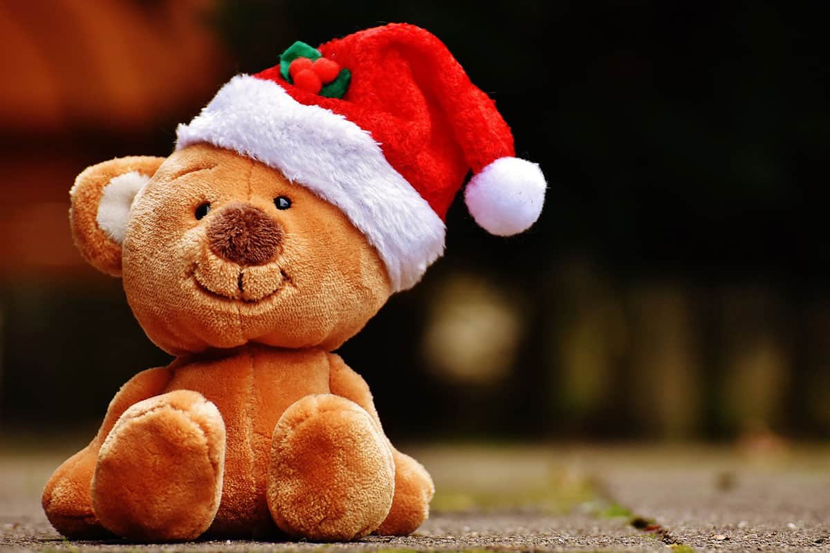 santa hat bear