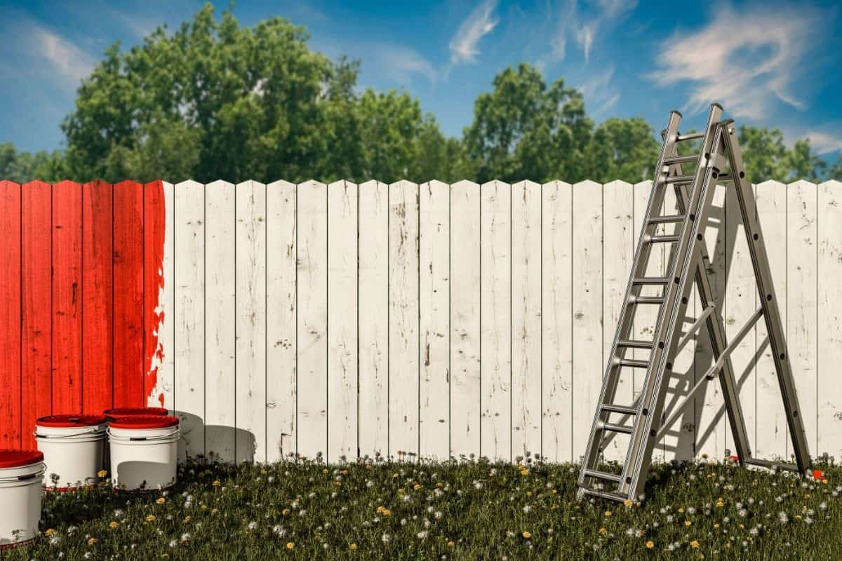 staining fence